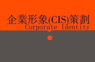 廣告、營(yíng)銷(xiāo)、品牌與企業(yè)策劃 戰(zhàn)略協(xié)同下的廣告設(shè)計(jì)核心